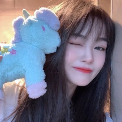 芝加哥警署第一季